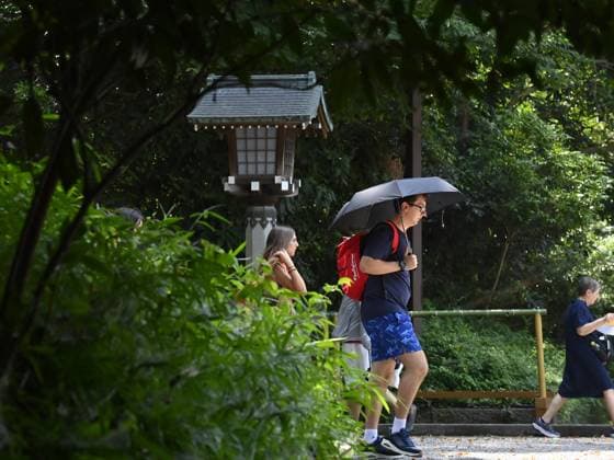 Extreme heat grips Tokyo as temperatures rise across eastern Japan TOKYO, JAPAN - JULY 14 : Visitors carrying a parasol walk through the shaded grounds of the Meiji Jingu shrine during hot weather in Tokyo, Japan, July 14, 2026. Temperatures in central Tokyo were forecast to reach 34 degrees Celsius. David Mareuil Anadolu Tokyo Japan. Editorial use only. Please get in touch for any other usage.  Copyright: x2026xAnadoluxDavidxMareuilx