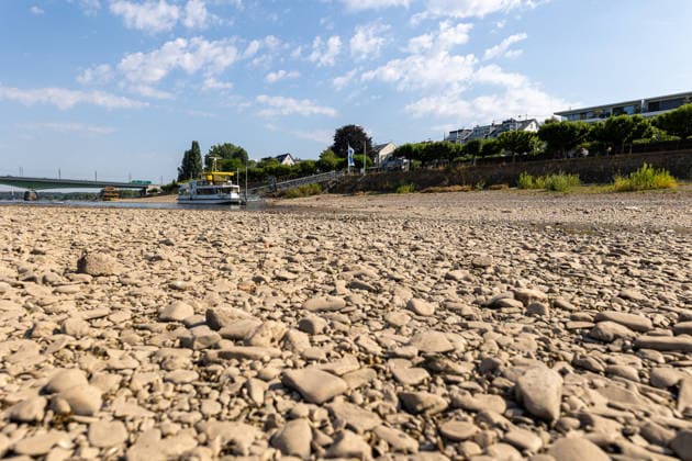 Niedrigwasser am Rhein: Freiliegende Uferbereiche am Beueler Rheinufer in Bonn Bonn-Beuel, Nordrhein-Westfalen, Deutschland 14.07.2026: Das Beueler Rheinufer zeigt sich bei sommerlichem Wetter mit einem deutlich niedrigen Wasserstand des Rheins. Weite Kies- und Sandflächen sind freigelegt, während sich der Fluss auf sein schmaleres Bett zurückgezogen hat. Der aktuelle Rheinpegel am Pegel Bonn liegt bei rund 102 bis 103 Zentimetern und unterstreicht die anhaltende Niedrigwassersituation. Bonn Beuel Nordrhein-Westfalen Deutschland *** Low Water Levels on the Rhine: Exposed Riverbanks Along the Rhine in Beuel, Bonn, North Rhine-Westphalia, Germany July 14, 2026 The Beuel bank of the Rhine is visible in summery weather with the river’s w