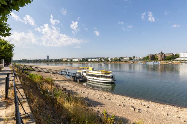 Niedrigwasser am Rhein: Freiliegende Uferbereiche am Beueler Rheinufer in Bonn Bonn-Beuel, Nordrhein-Westfalen, Deutschland 14.07.2026: Das Beueler Rheinufer zeigt sich bei sommerlichem Wetter mit einem deutlich niedrigen Wasserstand des Rheins. Weite Kies- und Sandflächen sind freigelegt, während sich der Fluss auf sein schmaleres Bett zurückgezogen hat. Der aktuelle Rheinpegel am Pegel Bonn liegt bei rund 102 bis 103 Zentimetern und unterstreicht die anhaltende Niedrigwassersituation. Bonn Beuel Nordrhein-Westfalen Deutschland *** Low Water Levels on the Rhine: Exposed Riverbanks Along the Rhine in Beuel, Bonn, North Rhine-Westphalia, Germany July 14, 2026 The Beuel bank of the Rhine is visible in summery weather with the river’s w