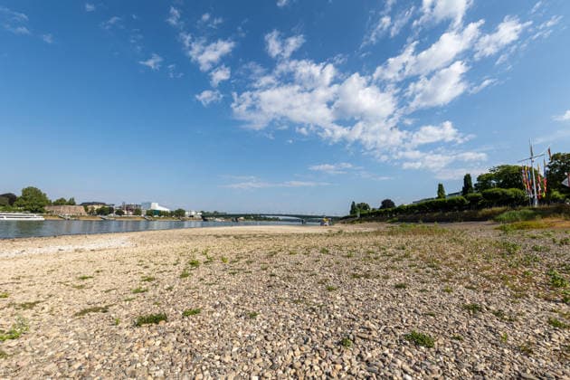 Niedrigwasser am Rhein: Freiliegende Uferbereiche am Beueler Rheinufer in Bonn Bonn-Beuel, Nordrhein-Westfalen, Deutschland 14.07.2026: Das Beueler Rheinufer zeigt sich bei sommerlichem Wetter mit einem deutlich niedrigen Wasserstand des Rheins. Weite Kies- und Sandflächen sind freigelegt, während sich der Fluss auf sein schmaleres Bett zurückgezogen hat. Der aktuelle Rheinpegel am Pegel Bonn liegt bei rund 102 bis 103 Zentimetern und unterstreicht die anhaltende Niedrigwassersituation. Bonn Beuel Nordrhein-Westfalen Deutschland *** Low Water Levels on the Rhine: Exposed Riverbanks Along the Rhine in Beuel, Bonn, North Rhine-Westphalia, Germany July 14, 2026 The Beuel bank of the Rhine is visible in summery weather with the river’s w
