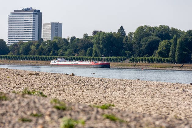 Binnenschiff passiert Niedrigwasser auf dem Rhein bei Bonn-Beuel Bonn-Beuel, Nordrhein-Westfalen, Deutschland 14.07.2026: Ein Binnenschiff fährt auf dem Rhein entlang des Beueler Rheinufers. Im Vordergrund sind aufgrund des anhaltenden Niedrigwassers großflächig freiliegende Kies- und Sandbänke des ausgetrockneten Rheinbetts zu sehen. Der außergewöhnlich niedrige Wasserstand macht die Auswirkungen der Niedrigwasserlage deutlich und verändert das Erscheinungsbild der Flusslandschaft. Der Rheinpegel am Pegel Bonn liegt am 14.07.2026 bei rund 102 bis 103 Zentimetern. Bonn Beuel Nordrhein-Westfalen Deutschland *** Inland waterway vessel navigates low water levels on the Rhine near Bonn Beuel, North Rhine-Westphalia, Germany, July 14,