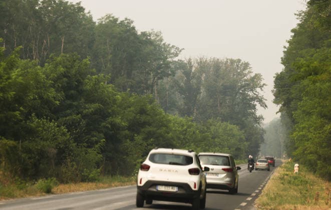 (260714) -- SEINE-ET-MARNE, July 14, 2026 -- Vehicles travel along a road shrouded in smoke from a wildfire in Seine-et-Marne, France, on July 14, 2026. French police have detained 59 people across the country in connection with wildfires, including two suspects linked to the blaze in the Fontainebleau forest in Seine-et-Marne department, southeast of Paris, French Interior Minister Laurent Nunez said on Monday. The wildfire in the Fontainebleau forest broke out on Sunday evening and continued to spread on Monday. ) FRANCE-SEINE-ET-MARNE-FONTAINEBLEAU-WILDFIRE WuxHuiwo 