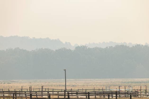 (260714) -- SEINE-ET-MARNE, July 14, 2026 -- This photo taken on July 14, 2026 shows trees shrouded in smoke from a wildfire in Seine-et-Marne, France. French police have detained 59 people across the country in connection with wildfires, including two suspects linked to the blaze in the Fontainebleau forest in Seine-et-Marne department, southeast of Paris, French Interior Minister Laurent Nunez said on Monday. The wildfire in the Fontainebleau forest broke out on Sunday evening and continued to spread on Monday. ) FRANCE-SEINE-ET-MARNE-FONTAINEBLEAU-WILDFIRE WuxHuiwo 