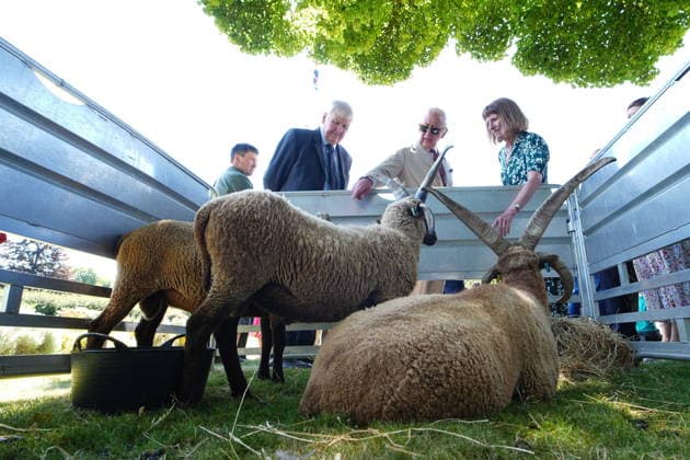 King Charles attends Manx community garden party in Onchan, Isle of Man, 14 July 2026 King Charles III, Lord of Mann, views sheep at a Garden Party for members of the Manx community, at Government House in Onchan, during his trip to the Isle of Man. Picture date: Tuesday July 14, 2026., Credit:Aaron Chown PA ROTA - B68 Avalon Isle of Man, Onchan  Copyright: xAaronxChownx xPAxROTAx-xB68x xAvalonx 1116490225