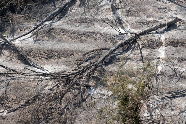 Fire breaks out on Solfatara volcano in Pozzuoli POZZUOLI, ITALY - JULY 14: The aftermath of a wildfire is seen in the Pisciarelli area on the outer edge of the Solfatara volcanic crater in the Campi Flegrei (Phlegraean Fields) volcanic region near Naples, Italy, on July 14, 2026. The fire, which broke out on July 13, burned vegetation across the area as firefighters continued assessment and recovery operations. Eliano Imperato Anadolu Naples Italy. Editorial use only. Please get in touch for any other usage.  Copyright: x2026xAnadoluxElianoxImperatox