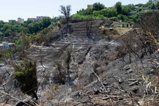 Fire breaks out on Solfatara volcano in Pozzuoli POZZUOLI, ITALY - JULY 14: The aftermath of a wildfire is seen in the Pisciarelli area on the outer edge of the Solfatara volcanic crater in the Campi Flegrei (Phlegraean Fields) volcanic region near Naples, Italy, on July 14, 2026. The fire, which broke out on July 13, burned vegetation across the area as firefighters continued assessment and recovery operations. Eliano Imperato Anadolu Naples Italy. Editorial use only. Please get in touch for any other usage.  Copyright: x2026xAnadoluxElianoxImperatox