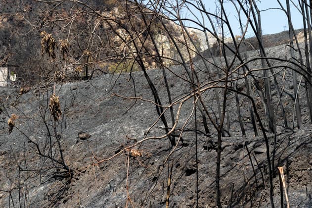 Fire breaks out on Solfatara volcano in Pozzuoli POZZUOLI, ITALY - JULY 14: The aftermath of a wildfire is seen in the Pisciarelli area on the outer edge of the Solfatara volcanic crater in the Campi Flegrei (Phlegraean Fields) volcanic region near Naples, Italy, on July 14, 2026. The fire, which broke out on July 13, burned vegetation across the area as firefighters continued assessment and recovery operations. Eliano Imperato Anadolu Naples Italy. Editorial use only. Please get in touch for any other usage.  Copyright: x2026xAnadoluxElianoxImperatox