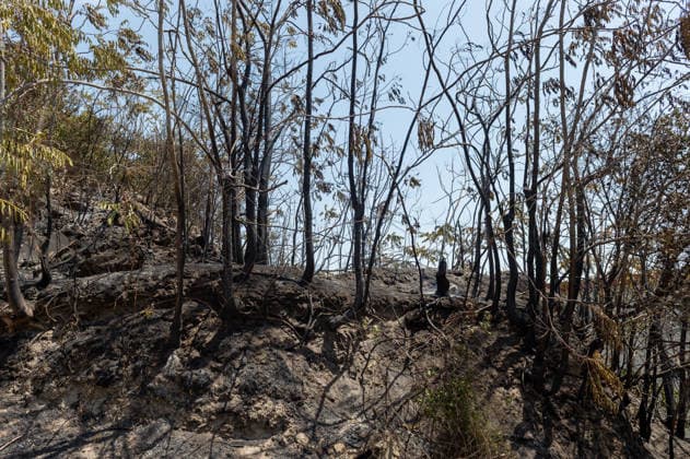 Fire breaks out on Solfatara volcano in Pozzuoli POZZUOLI, ITALY - JULY 14: The aftermath of a wildfire is seen in the Pisciarelli area on the outer edge of the Solfatara volcanic crater in the Campi Flegrei (Phlegraean Fields) volcanic region near Naples, Italy, on July 14, 2026. The fire, which broke out on July 13, burned vegetation across the area as firefighters continued assessment and recovery operations. Eliano Imperato Anadolu Naples Italy. Editorial use only. Please get in touch for any other usage.  Copyright: x2026xAnadoluxElianoxImperatox
