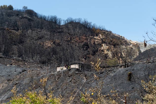 Fire breaks out on Solfatara volcano in Pozzuoli POZZUOLI, ITALY - JULY 14: The aftermath of a wildfire is seen in the Pisciarelli area on the outer edge of the Solfatara volcanic crater in the Campi Flegrei (Phlegraean Fields) volcanic region near Naples, Italy, on July 14, 2026. The fire, which broke out on July 13, burned vegetation across the area as firefighters continued assessment and recovery operations. Eliano Imperato Anadolu Naples Italy. Editorial use only. Please get in touch for any other usage.  Copyright: x2026xAnadoluxElianoxImperatox