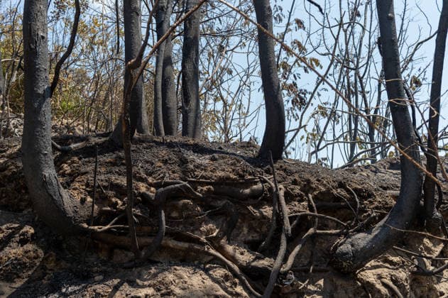 Fire breaks out on Solfatara volcano in Pozzuoli POZZUOLI, ITALY - JULY 14: The aftermath of a wildfire is seen in the Pisciarelli area on the outer edge of the Solfatara volcanic crater in the Campi Flegrei (Phlegraean Fields) volcanic region near Naples, Italy, on July 14, 2026. The fire, which broke out on July 13, burned vegetation across the area as firefighters continued assessment and recovery operations. Eliano Imperato Anadolu Naples Italy. Editorial use only. Please get in touch for any other usage.  Copyright: x2026xAnadoluxElianoxImperatox
