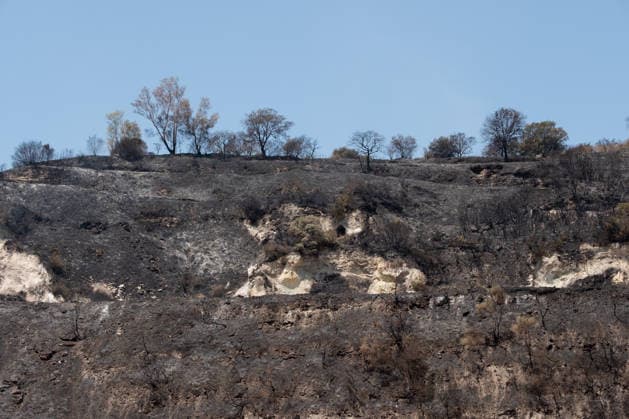Fire breaks out on Solfatara volcano in Pozzuoli POZZUOLI, ITALY - JULY 14: The aftermath of a wildfire is seen in the Pisciarelli area on the outer edge of the Solfatara volcanic crater in the Campi Flegrei (Phlegraean Fields) volcanic region near Naples, Italy, on July 14, 2026. The fire, which broke out on July 13, burned vegetation across the area as firefighters continued assessment and recovery operations. Eliano Imperato Anadolu Naples Italy. Editorial use only. Please get in touch for any other usage.  Copyright: x2026xAnadoluxElianoxImperatox