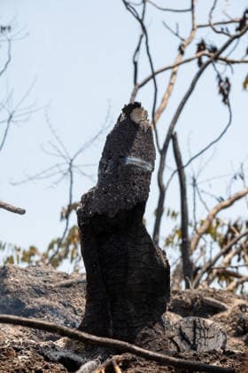 Fire breaks out on Solfatara volcano in Pozzuoli POZZUOLI, ITALY - JULY 14: The aftermath of a wildfire is seen in the Pisciarelli area on the outer edge of the Solfatara volcanic crater in the Campi Flegrei (Phlegraean Fields) volcanic region near Naples, Italy, on July 14, 2026. The fire, which broke out on July 13, burned vegetation across the area as firefighters continued assessment and recovery operations. Eliano Imperato Anadolu Naples Italy. Editorial use only. Please get in touch for any other usage.  Copyright: x2026xAnadoluxElianoxImperatox