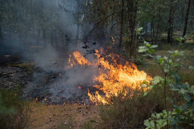 Firefighters operate during a fire in the Fontainebleau Forest - Noisy-sur-Ecole View of fire and burning ashes during a fire in the Fontainebleau Forest, in Noisy-sur-Ecole, in the Paris Ile-de-France region on July 14, 2026. Photo by Raphael Lafargue ABACAPRESS.COM Noisy-sur-Ecole France  Copyright: xLafarguexRaphael ABACAx
