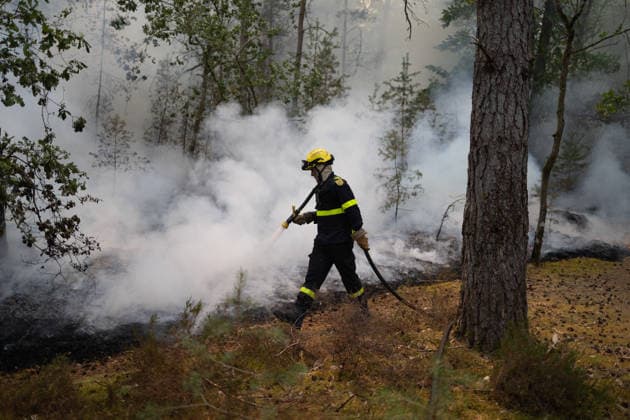 Firefighters operate during a fire in the Fontainebleau Forest - Noisy-sur-Ecole Firefighters operate during a fire in the Fontainebleau Forest, in Noisy-sur-Ecole, in the Paris Ile-de-France region on July 14, 2026. Photo by Raphael Lafargue ABACAPRESS.COM Noisy-sur-Ecole France  Copyright: xLafarguexRaphael ABACAx