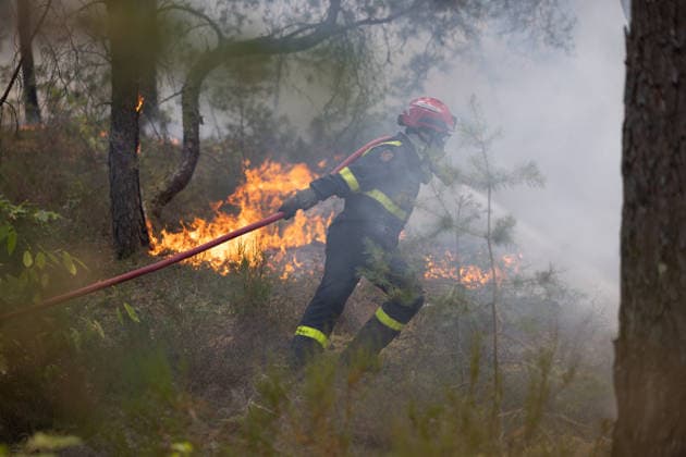 Firefighters operate during a fire in the Fontainebleau Forest - Noisy-sur-Ecole Firefighters operate during a fire in the Fontainebleau Forest, in Noisy-sur-Ecole, in the Paris Ile-de-France region on July 14, 2026. Photo by Raphael Lafargue ABACAPRESS.COM Noisy-sur-Ecole France  Copyright: xLafarguexRaphael ABACAx