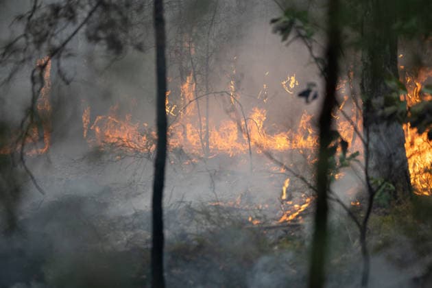 Firefighters operate during a fire in the Fontainebleau Forest - Noisy-sur-Ecole View of fire and burning ashes during a fire in the Fontainebleau Forest, in Noisy-sur-Ecole, in the Paris Ile-de-France region on July 14, 2026. Photo by Raphael Lafargue ABACAPRESS.COM Noisy-sur-Ecole France  Copyright: xLafarguexRaphael ABACAx