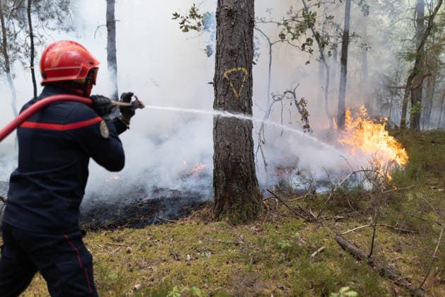 Firefighters operate during a fire in the Fontainebleau Forest - Noisy-sur-Ecole Firefighters operate during a fire in the Fontainebleau Forest, in Noisy-sur-Ecole, in the Paris Ile-de-France region on July 14, 2026. Photo by Raphael Lafargue ABACAPRESS.COM Noisy-sur-Ecole France  Copyright: xLafarguexRaphael ABACAx