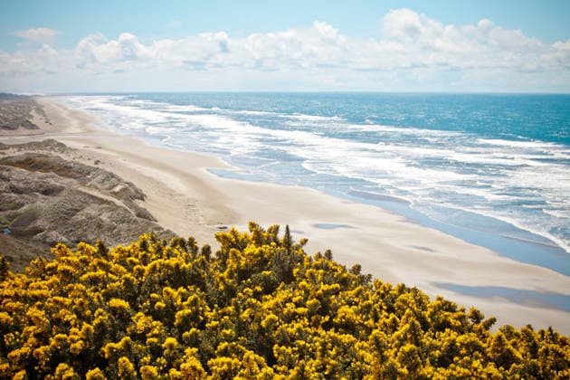 Creative Highlights World Scenic viewpoint of Oregon Coast along Highway 101 Florence, Oregon, United States CR_JDIP260712A-2072883-01 ,model released, Symbolfoto ,property released