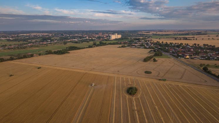 2026.07.14 Auf einem Feld bei Pasewalk wird Roggen geerntet Pasewalk Mecklenburg-Vorpommern Deutschland *** July 14, 2026: Rye is being harvested in a field near Pasewalk, Pasewalk, Mecklenburg-Western Pomerania, Germany