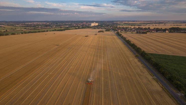 2026.07.14 Auf einem Feld bei Pasewalk wird Roggen geerntet Pasewalk Mecklenburg-Vorpommern Deutschland *** July 14, 2026: Rye is being harvested in a field near Pasewalk, Pasewalk, Mecklenburg-Western Pomerania, Germany