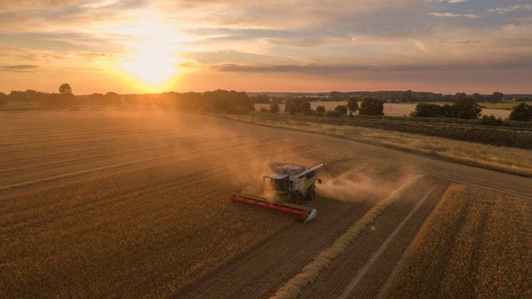 2026.07.14 Auf einem Feld bei Pasewalk wird Roggen geerntet Pasewalk Mecklenburg-Vorpommern Deutschland *** July 14, 2026: Rye is being harvested in a field near Pasewalk, Pasewalk, Mecklenburg-Western Pomerania, Germany