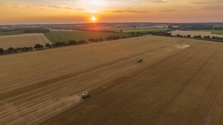 2026.07.14 Auf einem Feld bei Pasewalk wird Roggen geerntet Pasewalk Mecklenburg-Vorpommern Deutschland *** July 14, 2026: Rye is being harvested in a field near Pasewalk, Pasewalk, Mecklenburg-Western Pomerania, Germany