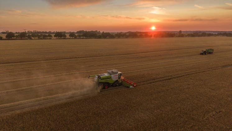 2026.07.14 Auf einem Feld bei Pasewalk wird Roggen geerntet Pasewalk Mecklenburg-Vorpommern Deutschland *** July 14, 2026: Rye is being harvested in a field near Pasewalk, Pasewalk, Mecklenburg-Western Pomerania, Germany