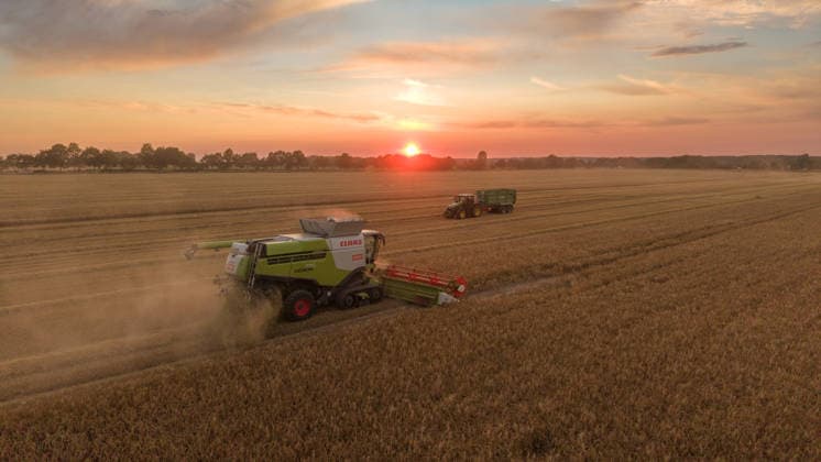 2026.07.14 Auf einem Feld bei Pasewalk wird Roggen geerntet Pasewalk Mecklenburg-Vorpommern Deutschland *** July 14, 2026: Rye is being harvested in a field near Pasewalk, Pasewalk, Mecklenburg-Western Pomerania, Germany