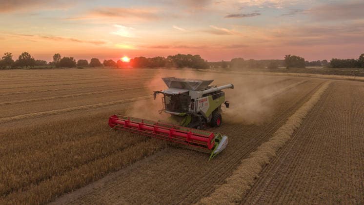 2026.07.14 Auf einem Feld bei Pasewalk wird Roggen geerntet Pasewalk Mecklenburg-Vorpommern Deutschland *** July 14, 2026: Rye is being harvested in a field near Pasewalk, Pasewalk, Mecklenburg-Western Pomerania, Germany