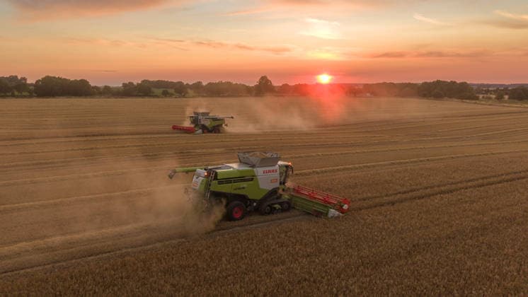 2026.07.14 Auf einem Feld bei Pasewalk wird Roggen geerntet Pasewalk Mecklenburg-Vorpommern Deutschland *** July 14, 2026: Rye is being harvested in a field near Pasewalk, Pasewalk, Mecklenburg-Western Pomerania, Germany