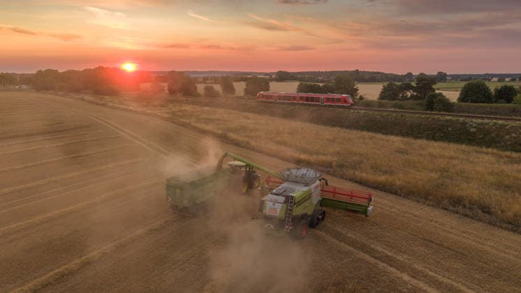2026.07.14 Auf einem Feld bei Pasewalk wird Roggen geerntet. links geht die Sonne unter. Hinten fährt der Regionalexpress der Linie RE4 vorbei Pasewalk Mecklenburg-Vorpommern Deutschland *** July 14, 2026: Rye is being harvested in a field near Pasewalk; the sun is setting on the left; in the background, the RE4 regional express train is passing by. Pasewalk, Mecklenburg-Western Pomerania, Germany