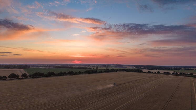 2026.07.14 Auf einem Feld bei Pasewalk wird Roggen geerntet Pasewalk Mecklenburg-Vorpommern Deutschland *** July 14, 2026: Rye is being harvested in a field near Pasewalk, Pasewalk, Mecklenburg-Western Pomerania, Germany