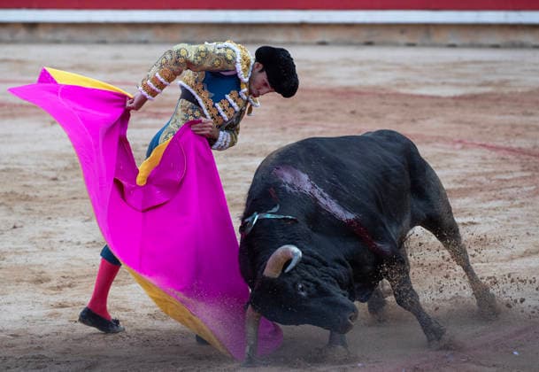 Thomas Rufo performs with a Jandilla fighting bulls during the final bullfight in the Fiesta de San Fermin and Feria del Toro 2026 in Pamplona, northern Spain, on July 14, 2026. Rufo cut four ears on his two bulls and was carried out from the bullring on shoulders. The renowned festival ends at midnight today.  PAM20260714153 JimxHollander