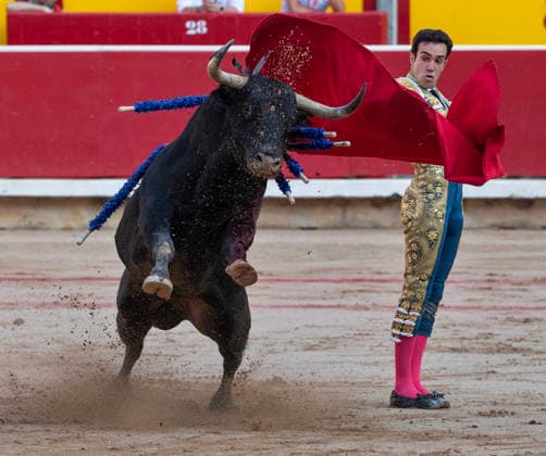 Thomas Rufo performs with a Jandilla fighting bulls during the final bullfight in the Fiesta de San Fermin and Feria del Toro 2026 in Pamplona, northern Spain, on July 14, 2026. Rufo cut four ears on his two bulls and was carried out from the bullring on shoulders. The renowned festival ends at midnight today.  PAM20260714154 JimxHollander