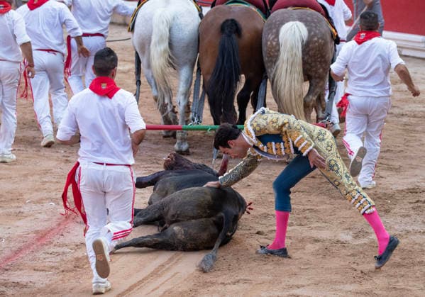 Thomas Rufo pats the hide of his first bull from the ranch of Jandilla named Castigado and weighing 565 kilos as the bull is taken on a lap around the bullring mind a loud round of applause following a fight by Rufo who cut two ears as awards in the final bullfight in the Fiesta de San Fermin and Feria del Toro 2026 in Pamplona, northern Spain, on July 14, 2026. Rufo cut four ears on his two bulls and was carried out from the bullring on shoulders. The renowned festival ends at midnight today.  PAM20260714158 JimxHollander