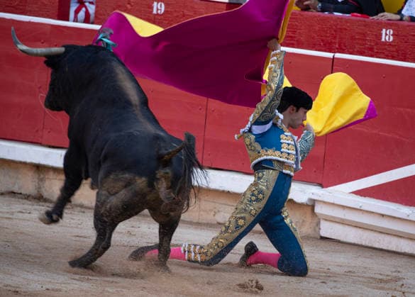 Thomas Rufo performs with a Jandilla fighting bull in the final bullfight in the Fiesta de San Fermin and Feria del Toro 2026 in Pamplona, northern Spain, on July 14, 2026. The renowned festival ends at midnight today.  PAM20260714159 JimxHollander
