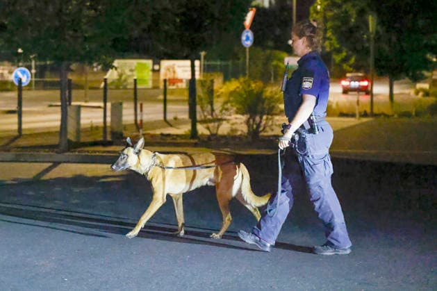 Ein Polizeihund mit Hundeführer ist im Einsatz und sucht nach Spuren des verdächtigen Mannes, der am Dienstagabend gegen 20:20 Uhr in der Unterdürrbacher Straße in Würzburg Schüsse aus einer Handfeuerwaffe abgegeben haben soll. Der Polizeihund fahndet intensiv nach dem Flüchtigen. Würzburg Unterdürrbach, Bayern, Deutschland. *** A police dog and its handler are on the scene, searching for clues regarding the suspect, who is alleged to have fired shots from a handgun on Tuesday evening around 8:20 p.m. on Unterdürrbacher Straße in Würzburg. The police dog is conducting an intensive search for the fugitive. Würzburg Unterdürrbach, Bavaria, Germany Copyright: HMBxMedia xHeikoxBecker