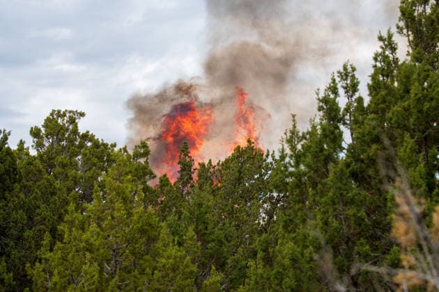 July 14, 2026, Vernon, Utah, USA: Flames and a thick column of smoke erupt from a stand of juniper trees near Vernon, Utah, on Tuesday, July 14, 2026. Extreme fire behavior and erratic winds continue to challenge suppression efforts on the active Stookey wildfire in Tooele County. Vernon USA  - ZUMAm292 20260714_znp_m292_029 Copyright: xCharlesxMcClintockxWilsonx