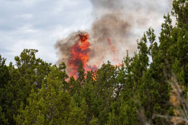 July 14, 2026, Vernon, Utah, USA: Flames and a thick column of smoke erupt from a stand of juniper trees near Vernon, Utah, on Tuesday, July 14, 2026. Extreme fire behavior and erratic winds continue to challenge suppression efforts on the active Stookey wildfire in Tooele County. Vernon USA - ZUMAm292 20260714_znp_m292_028 Copyright: xCharlesxMcClintockxWilsonx
