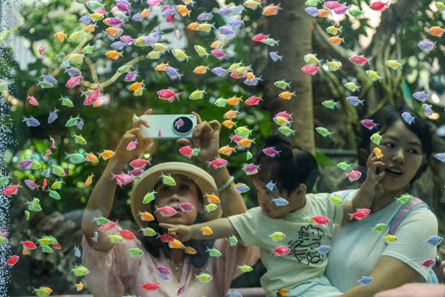 News Bilder des Tages CHONGQING, CHINA - JULY 13: A large fish tank installation attracts visitors at The Ring Mall on July 13, 2026 in Chongqing, China. The semi-transparent glass enclosure houses swimming fish and shifting lights that blend with hanging greenery, blurring the boundary between water and forest to create a surreal atmosphere.  Copyright: xVCGx 111654401414