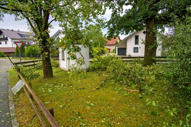 15.07.2026, Bad Wörishofen, Unterallgäu, Schäden nach dem heftigen Gewittersturm mit Hagel am vergangenen Abend über der Stadt Bad Wörishofen im Unterallgäu (Bayern). Abgebrochene Äste liegen auf dem Boden, hier im Ortsteil Stockheim. 15.07.2026, Gewitter 15.07.2026, Gewitter *** July 15, 2026, Bad Wörishofen, Unterallgäu, Damage following the violent thunderstorm with hail that struck the town of Bad Wörishofen in the Unterallgäu region of Bavaria last evening. Broken branches lie on the ground, here in the Stockheim district, July 15, 2026, Thunderstorm July 15, 2026, Thunderstorm