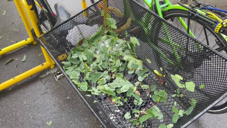 Unwetter in Reutlingen, Eine schwere Gewitterzelle mit intensivem Hagel zieht über Reutlingen hinweg. Innerhalb kurzer Zeit gehen kräftige Regenfälle und teils größerer Hagel nieder. Straßen und Plätze stehen stellenweise unter Wasser, während Blitz und Donner das Unwetter begleiten. Reutlingen Baden-Württemberg Deutschland Reutlingen *** Severe weather in Reutlingen: A severe thunderstorm cell with intense hail is moving across Reutlingen. Within a short time, heavy rain and, in some cases, large hailstones are falling. Streets and squares are flooded in places, while lightning and thunder accompany the storm. Reutlingen, Baden-Württemberg, Germany. Reutlingen Copyright: x xonw-imagesx xNicklasxWaltherx