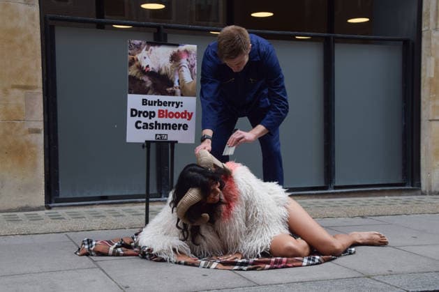 July 15, 2026, London, England, United Kingdom: A PETA activist dressed as a bloodied goat has hair aggressively torn from her bodyÃ¢â‚¬â ¢ by a farmer outside the Burberry headquarters at Horseferry House as the fashion group holds its Annual General Meeting (AGM). The action is part of the animal rights group s ongoing campaign calling on Burberry to drop cashmere, which PETA says is produced using very cruel methods. London United Kingdom  - ZUMAv130 20260715_zip_v130_002 Copyright: xVukxValcicx