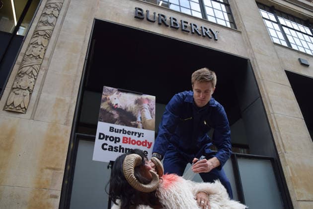 July 15, 2026, London, England, United Kingdom: A PETA activist dressed as a bloodied goat has hair aggressively torn from her bodyÃ¢â‚¬â ¢ by a farmer outside the Burberry headquarters at Horseferry House as the fashion group holds its Annual General Meeting (AGM). The action is part of the animal rights group s ongoing campaign calling on Burberry to drop cashmere, which PETA says is produced using very cruel methods. London United Kingdom - ZUMAv130 20260715_zip_v130_004 Copyright: xVukxValcicx