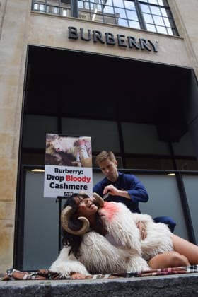 July 15, 2026, London, England, United Kingdom: A PETA activist dressed as a bloodied goat has hair aggressively torn from her bodyÃ¢â‚¬â ¢ by a farmer outside the Burberry headquarters at Horseferry House as the fashion group holds its Annual General Meeting (AGM). The action is part of the animal rights group s ongoing campaign calling on Burberry to drop cashmere, which PETA says is produced using very cruel methods. London United Kingdom - ZUMAv130 20260715_zip_v130_005 Copyright: xVukxValcicx