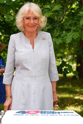 Royal Osteoporosis Society reception Queen Camilla, President of the Royal Osteoporosis Society, with a cake at a reception to mark 40 years of the charity, at Clarence House, London. The Queen has championed the work of the Royal Osteoporosis Society since 1994, after seeing her own mother suffering with the disease, which resulted in her early death at the age of 72. Picture date: Wednesday July 15, 2026., Credit:Aaron Chown PA ROTA - B68 Avalon UK, London  Copyright: xAaronxChownx xPAxROTAx-xB68x xAvalonx 1116687533