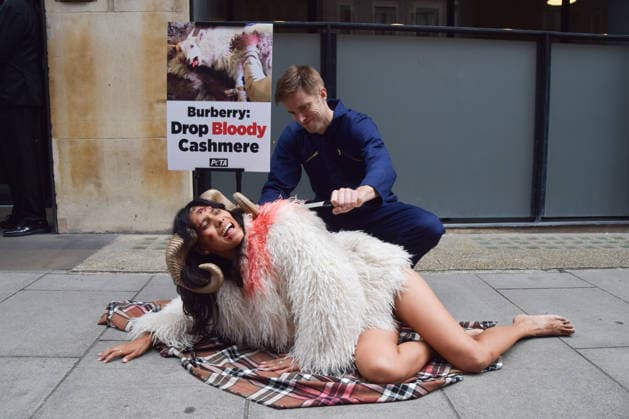 News Bilder des Tages July 15, 2026, London, England, United Kingdom: A PETA activist dressed as a bloodied goat has her hair aggressively torn from her body by a farmer outside the Burberry headquarters at Horseferry House as the fashion group holds its Annual General Meeting (AGM). The action is part of the animal rights group s ongoing campaign calling on Burberry to drop cashmere, which PETA says is produced using very cruel methods. London United Kingdom  - ZUMAv130 20260715_zip_v130_008 Copyright: xVukxValcicx