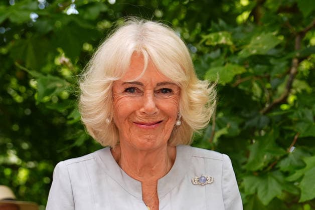 Royal Osteoporosis Society reception Queen Camilla, President of the Royal Osteoporosis Society, as she hosts a reception to mark 40 years of the charity, at Clarence House, London. The Queen has championed the work of the Royal Osteoporosis Society since 1994, after seeing her own mother suffering with the disease, which resulted in her early death at the age of 72. Picture date: Wednesday July 15, 2026., Credit:Aaron Chown PA ROTA - B68 Avalon UK, London  Copyright: xAaronxChownx xPAxROTAx-xB68x xAvalonx 1116695045