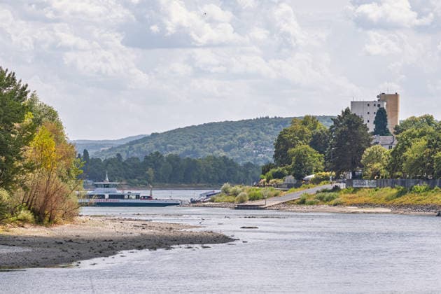 News Bilder des Tages Niedrigwasser am Rhein bei Rolandseck - Fähre Bad Honnef weicht auf Behelfsrampe aus Niedrigwasser am Rhein bei Rolandseck an der Rheininsel Nonnenwerth. Bei einem Pegelstand von 24 cm am Pegel Oberwinter haben anlegende Schiffe bereits Grundberührung. Der reguläre Fähranleger ist nicht mehr erreichbar - die Fähre nach Bad Honnef muss auf eine benachbarte Rampe ausweichen. Remagen Rheinland-Pfalz Deutschland *** Low water levels on the Rhine near Rolandseck; Bad Honnef ferry diverts to a temporary ramp Low water levels on the Rhine near Rolandseck on the Rhine island of Nonnenwerth With the water level at the Oberwinter gauge at 24 cm, ships attempting to dock are already running aground The regular ferry landing is no longer accessib Copyright: xMarcxJohnx