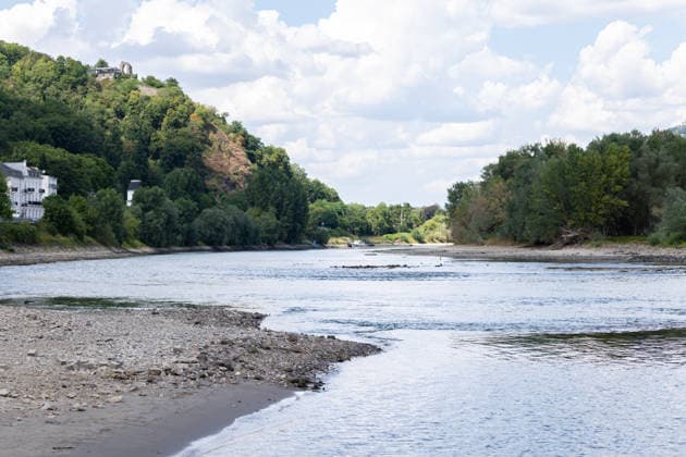 Niedrigwasser am Rhein bei Rolandseck Niedrigwasser am Rhein bei Rolandseck an der Rheininsel Nonnenwerth. Bei einem Pegelstand von 24 cm am Pegel Oberwinter haben anlegende Schiffe bereits Grundberührung. Remagen Rheinland-Pfalz Deutschland *** Low Water Levels on the Rhine at Rolandseck Low Water Levels on the Rhine at Rolandseck on the Rhine Island of Nonnenwerth With the water level at the Oberwinter gauge standing at 24 cm, ships attempting to dock are already running aground Remagen Rhineland-Palatinate Germany Copyright: xMarcxJohnx